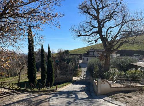 Offida Apartment | Casa VACANZE MADONNA DELLA SANITA'