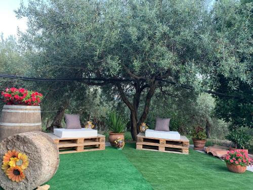 Patti House | Casa Vacanze Magistro