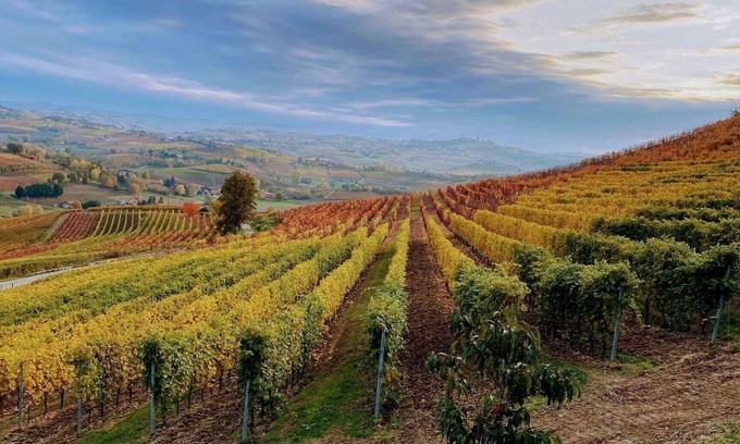 Agliano Terme House | Casa Vacanze Sweet Dreams immersa nella suggestiva campagna aglianese.