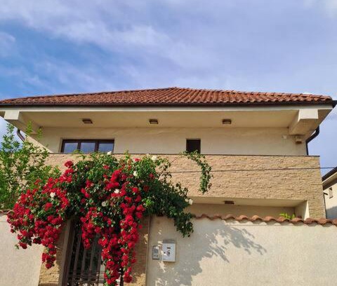 Pantelimon Villa | Casa verde 2