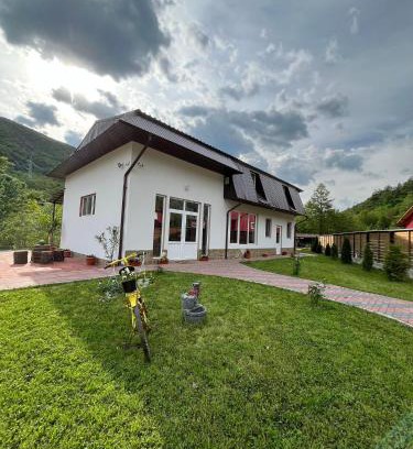 Nehoiu House | Casa Vio