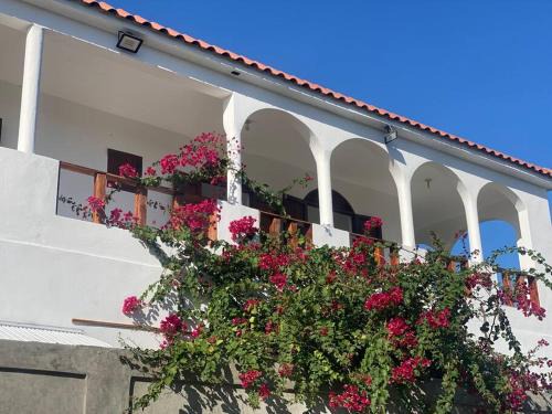 Las Salinas Villa | Casa Zanelli, lugar de paz…