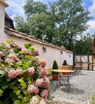 Sighisoara House | Casa Zatler 1#