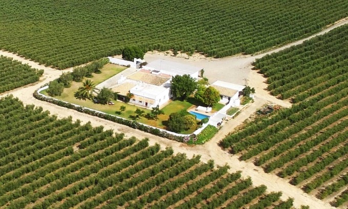 Pilas House | Casablanca: Rest among olive trees