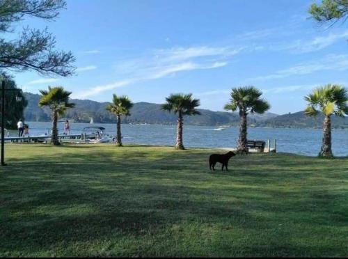 Las Cabras House | CasaLagoRapel