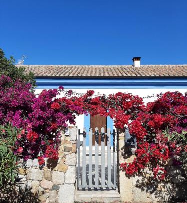 Castiadas Bed & Breakfast | Casale Diletta