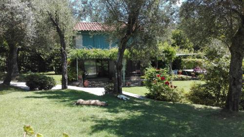 Portela House | Casas da Tapada Briteiros Casa Do Espigueiro