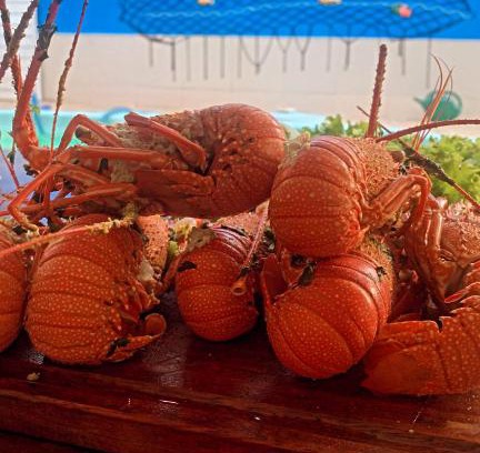 Guaibim House | Casas de temporada Lene Andrade