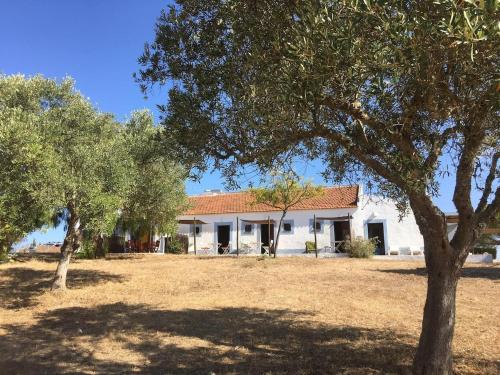 Chinicato House | Casas na Vinha - Monte da Casteleja, Wine Estate - Eco Turismo Rural