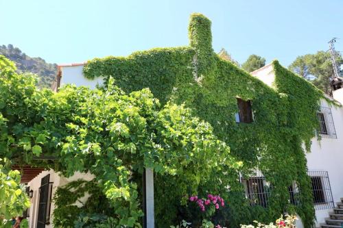 Quesada Apartment | Casas Rurales Cortijo El Marqués