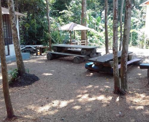 Novo Airao House | Casatemporada Piquiá