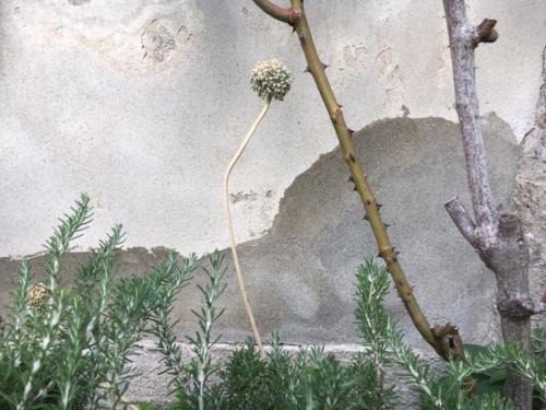 Montorfano House | cascina lago