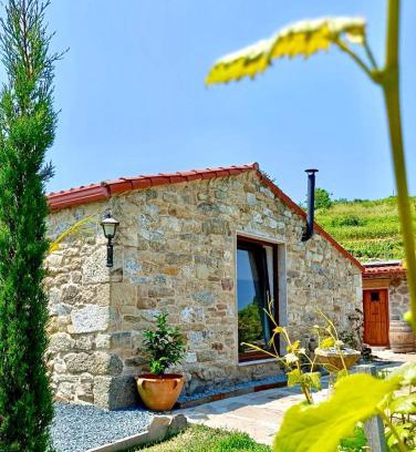 Chantada House | Casiña Raíz Entre viñas y cielo Ribeira Sacra