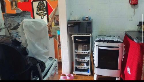 Rocinha House | Casinha da Arte