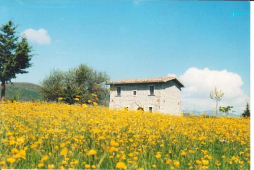 Forli del Sannio Villa | Casino Tonti Iarussi