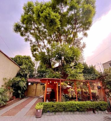 Venustiano Carranza House | Casita del Árbol