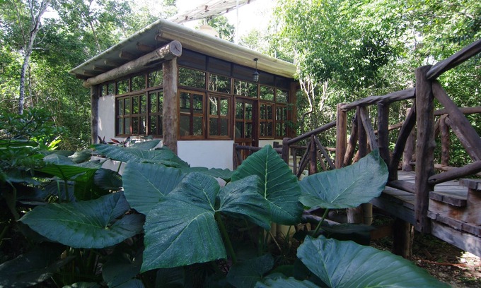 Tulum Cottage | Casita Milagros - A Jungle Tree House