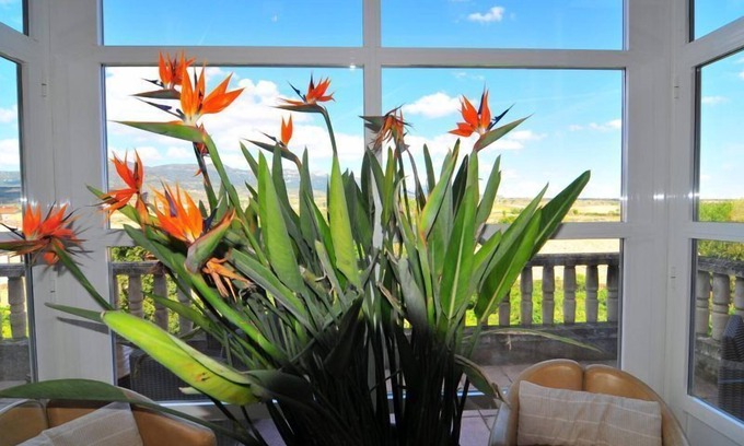 San Vicente de la Sonsierra Hotel | Casona del Boticario