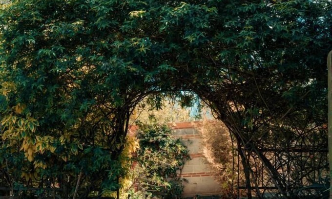 Tequisquiapan Bed & Breakfast | CASONA DOS VIDAS