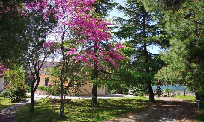 Andria Villa | Castel del Monte Domus FICUS CARICA