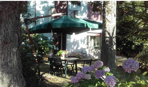 Monte Compatri Apartment | Castelli Romani Montecompatri Apartment