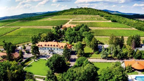Tarcal Hotel | Castle Hotel Grof Degenfeld Superior