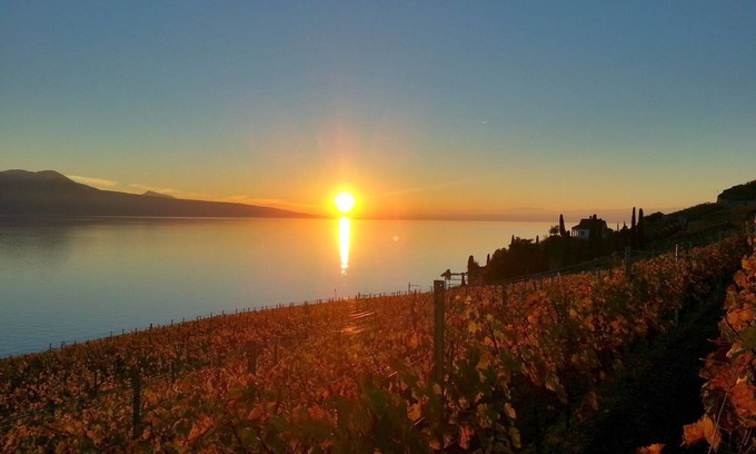 Chardonne Apartment | Castle In The Vineyards - flat for 2