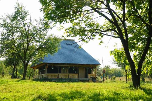 Breb House | Casuța din Grădină