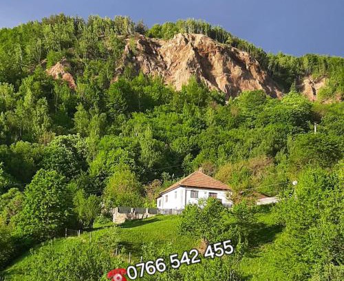 Lopatari House | Casuta de sub munte