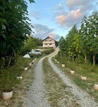 Pausesti-Maglasi House | CASUTA MAGICA