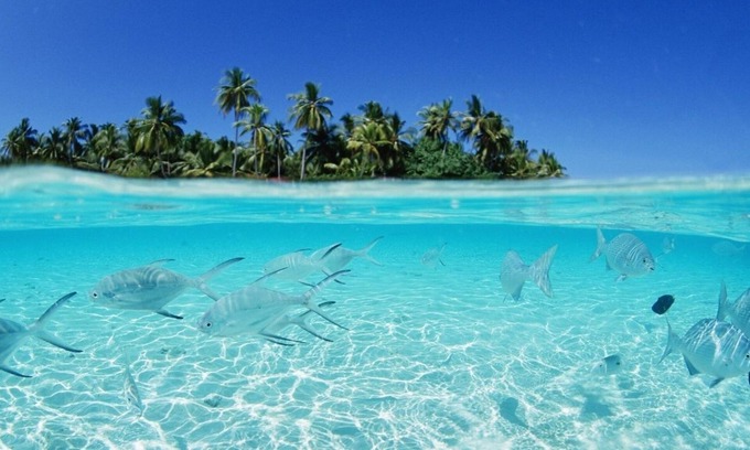 Male Boat Rental | Catamaran cruises in Maldives