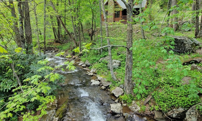 Boone Cabin | Catch & Release - Trout Stream, Wi-Fi, Pool Table