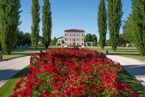 Campogalliano House | Cattania Suites and Rooms