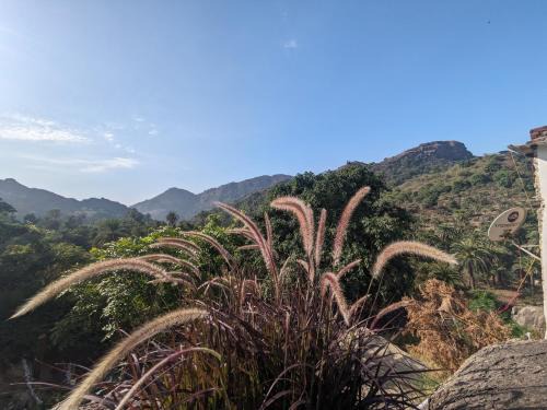 Mount Abu House | Cave Canvas