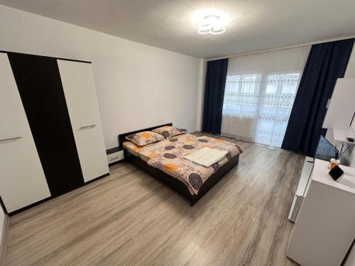 Baile Herculane Apartment | Cazare Herculane