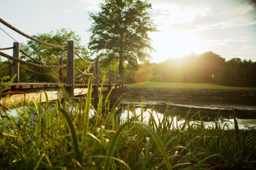 New Haven Resort | Cedar Creek