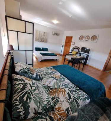 Oliveira do Bairro Apartment | Centenária