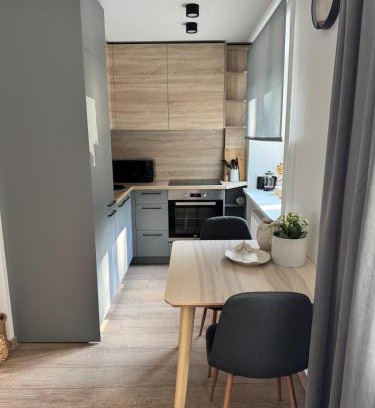Jelgava Apartment | Center Studio type apartment
