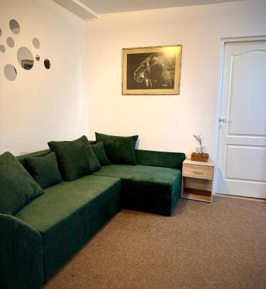 Tirgu Mures Apartment | Central apartment for 7