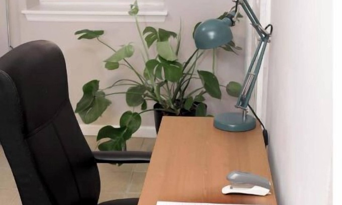 Forest Hill Apartment | Centrally located apt. ideal for business & pleasure.