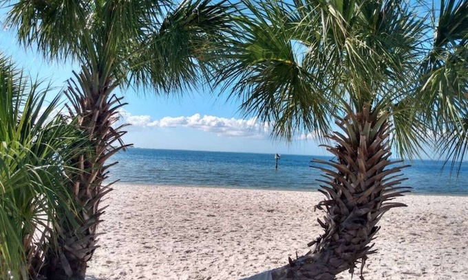 Seminole Heights House | Centrally Located /Hot Tub /Fire Pit /King Bed