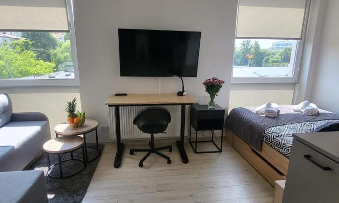 Srodmiescie Apartment | Centrum Prusa STUDIO 210