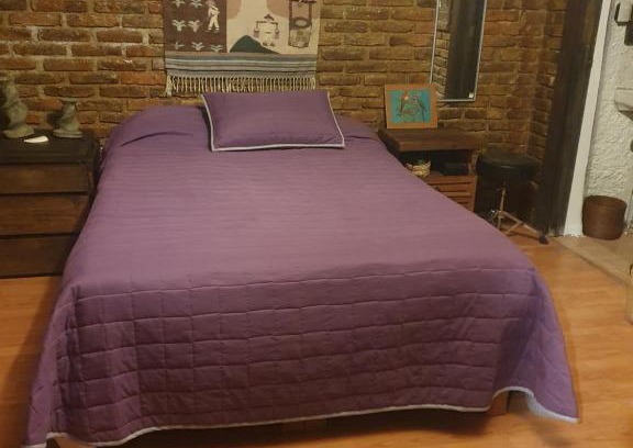Tlalpan House | Cerca del Colmex, Flacso y U Pedagogica