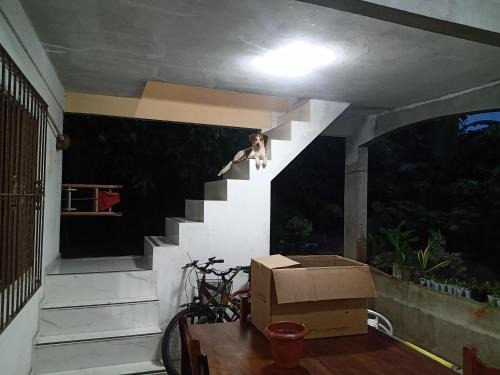 Ananindeua House | Chácara