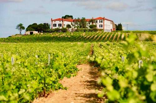 Cabestany House | Château au milieu du vignoble avec piscine à 10 mn des plages