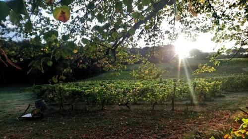 Salleboeuf Apartment | Château Régaldo-Saint Blancard