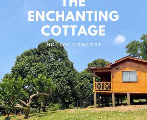 Cheng House | CH Durian Farmstay