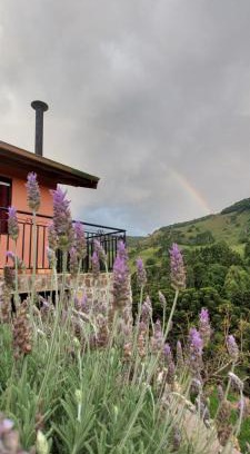 Brazopolis Cabin | Chalé Canto Mundo - Mantiquero
