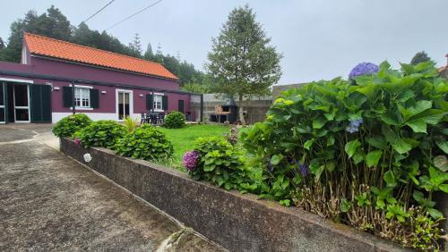 Santo da Serra House | Chalé da Serra