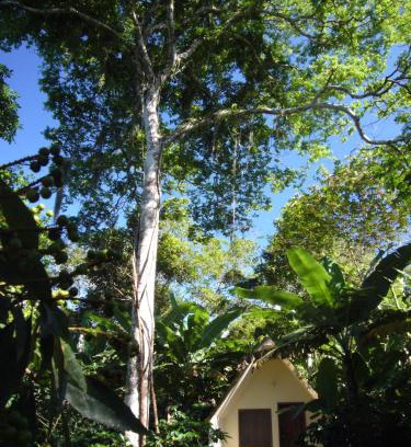 Ubajara National Park Hotel | Chalés Sítio do Alemão